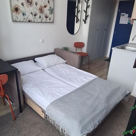 Stay In Kaunas & La51 - Free Parking Exteriör bild